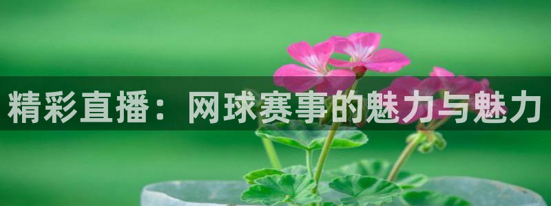 精彩直播：网球赛事的魅力与魅力