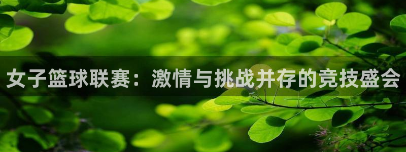 女子篮球联赛：激情与挑战并存的竞技盛会