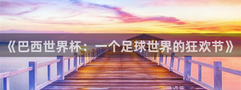 球速体育贴吧：《巴西世界杯：一个足球世界的狂欢节》