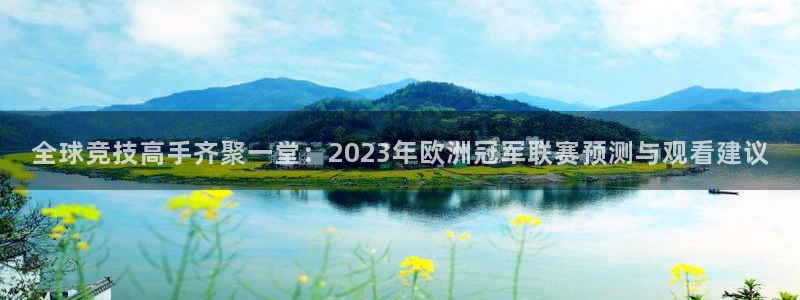 球速体育显示病毒应用：全球竞技高手齐聚一堂：2023年欧洲冠