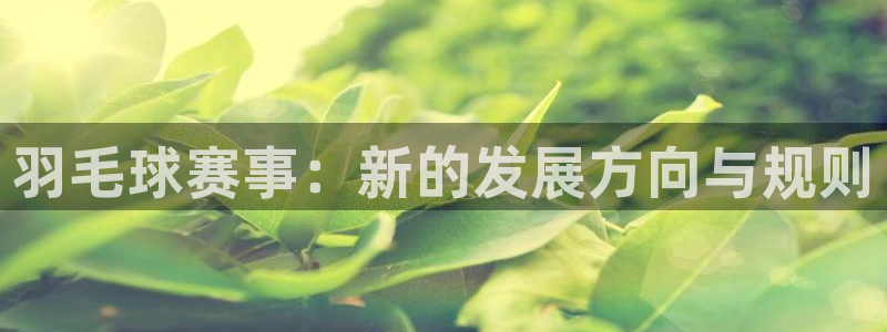 球速体育提现有风险吗：羽毛球赛事：新的发展方向与规则