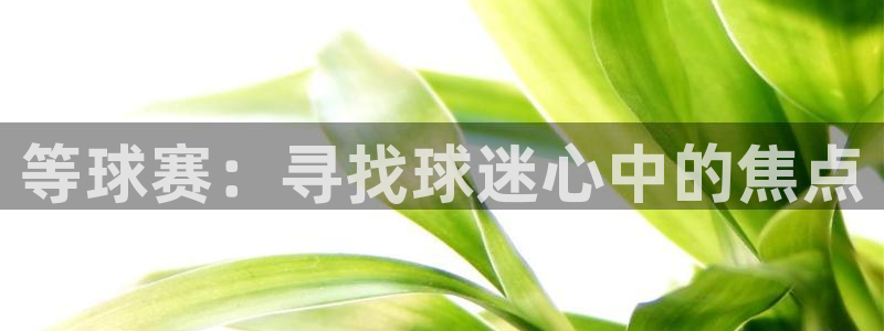 球速体育ios下载