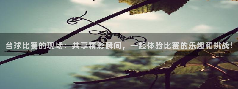 球速体育平台下载7181：台球比赛的现场：共享精彩瞬间，一起