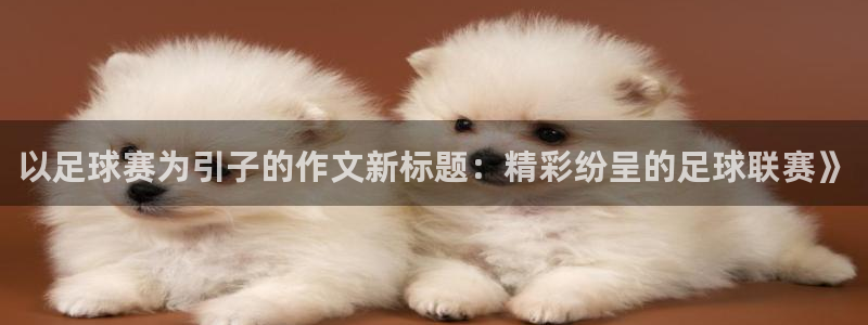 球速体育黑不黑：以足球赛为引子的作文新标题：精彩纷呈的足球联