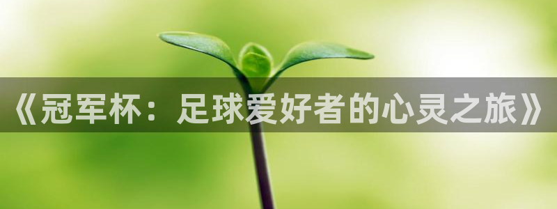 球速体育邀请码：《冠军杯：足球爱好者的心灵之旅》